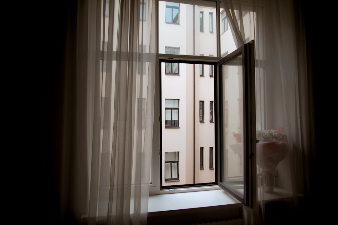 view-through-a-window-of-a-building-facade-wdhlo5lvnri